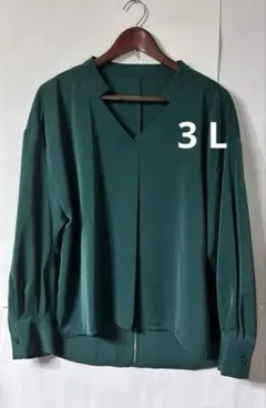 ブラウス　プルオーバー　3 L ダークグリーン　長袖　Ｖネック