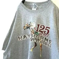 ギルダン 乗馬 HAWTHORNE Tシャツ XL グレー 灰色 古着