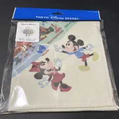 東京ディズニーリゾート ミッキー ミニー タオル 約34cm
