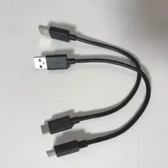 SONY ソニー USB Type-C ケーブルのサムネイル
