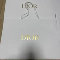 Dior ショップ袋ショッパー特大1枚