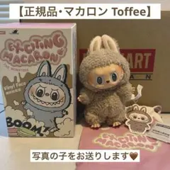 【新品未使用】Exciting Macaron Toffee トフィ