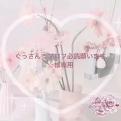 2026年最新】プロフ必読願いますの人気アイテム - メルカリ