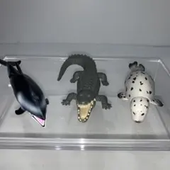 アニア　イルカ　ナイルワニ　ゴマフアザラシ　動物フィギュア　水の生き物のサムネイル