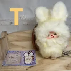 babythree イニシャル アルファベット 【 T 】