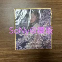 櫻坂46 サクコレくじC賞 サイン入り色紙 遠藤光莉 - メルカリ