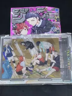 ジャンプGIGA 2024 ハイキュー クリアカードとアクリルパネル