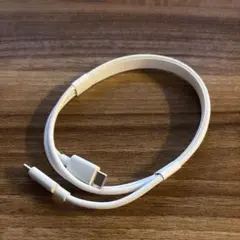 ホワイト USB-C 充電ケーブル