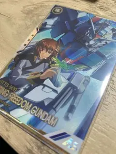 アーセナルベース　ライジングフリーダムガンダム　シークレット