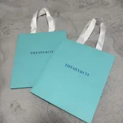 TIFFANY&CO. ショップ袋 2枚セットのサムネイル