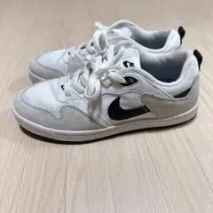 【NIKE】ナイキ SB Alleyoop レディーススニーカー 靴