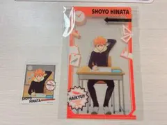 ハイキュー 日向翔陽 クリアファイル