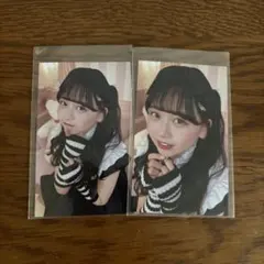 FRUITSZIPPER 松本かれん