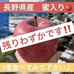 数量限定‼️長野県産サンふじ蜜入りりんご甘い美味しい美味しい林檎産地直送新鮮62