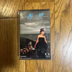 8cm CD☆非売品／中山美穂CDミニアルバム／短冊／シングル／希少盤