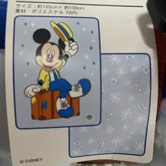 限定品！ディズニー　バケーションパック　ブランケット