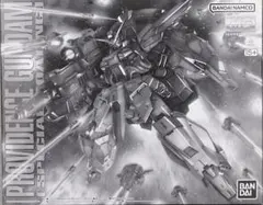 MG 1/100 プロヴィデンスガンダム スペシャルコーティング