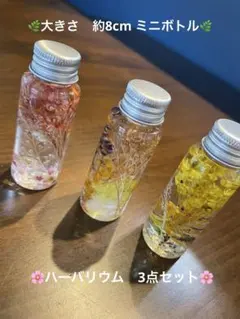 ハーバリウム 3本セット