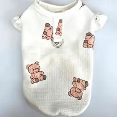 Item thumbnail for item 74bd27ba-6824-40f0-87a8-9af4115289d1