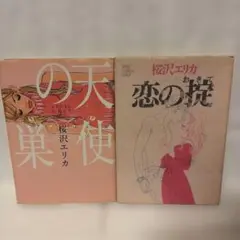 天使の巣& 恋の掟　桜沢エリカ　2冊セット
