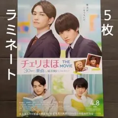 映画　チェリまほ THE MOVIE　ラミネート+　チラシ　フライヤー　５枚