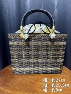 カゴバッグ　かごバッグ　ハンドバッグ　蝶々　巾着付き　おしゃれ　黒