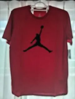 Nike AIR JORDAN アイコンロゴ Tシャツ（908017-687）