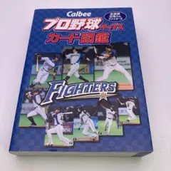 Item thumbnail for item a94c6e9d-d70a-48e8-ac79-58a96daf7b43