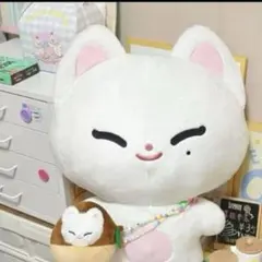 enhpyen ソヌ　45cm ぬいぐるみ　新品　マスター ENHYPENソヌぬいぐるみ 45㎝ - メルカリ