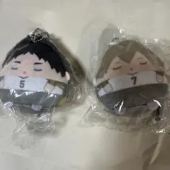 み*ろ様 ハイキュー　ふわころぬいくじ　赤葦京治　木葉秋紀