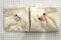 ハムスター　ハンカチ　おがくずに埋もれて眠るハムスターのハンカチの会のサムネイル