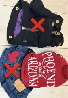 犬服セット：黒ジャケット・赤Tシャツのサムネイル