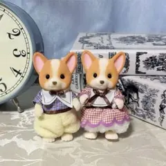 コーギー