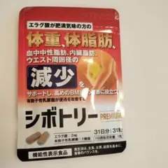 Item thumbnail for item 878db002-0157-41a3-a101-bd43b6500ac0