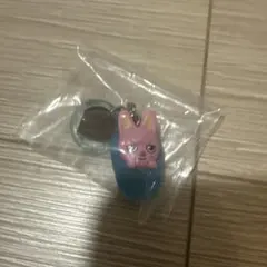 SKZOO めじるしアクセサリー ソロキャンプ トゥエッキ チャンビン