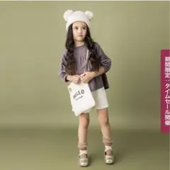 プティマイン セットアップ80