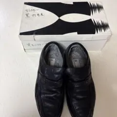 Item thumbnail for item 72e93802-07d7-4d8c-8f4b-79e7dd4dace2