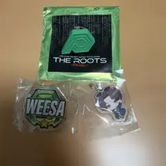 WEESA