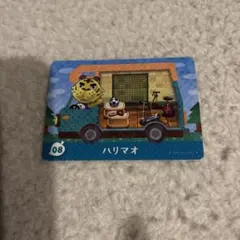 ハリマオ amiiboカード 08