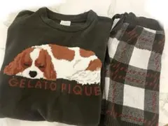 ジェラートピケ キャバリア 犬柄 プルオーバー&チェックショートパンツ セット