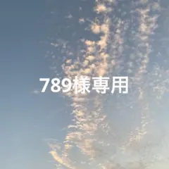 789様専用(残り2点分)
