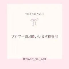 プロフ一読お願いします様専用ページ　ネイルパーツ