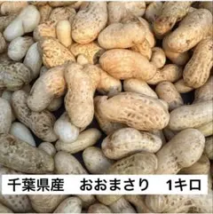 3kg洗ってある◎ ゆで落花生おおまさり 「産地の千葉県より」箱の重さ