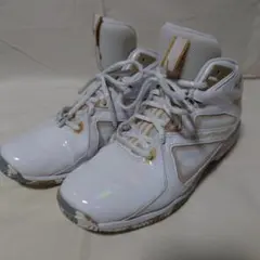 Item thumbnail for item e2a10bcb-7875-40e2-87e7-6be8f129437c