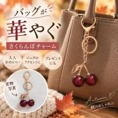 バッグチャーム さくらんぼ チェリー キーホルダー レディース ゴールド 赤