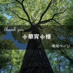 ᯽華宵᯽様専用ページ(3月26日までお取置き可能)