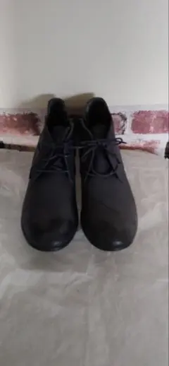 Item thumbnail for item b639f8cb-3f73-491b-80d4-7c59889e398f