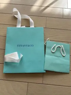Tiffany & Co. ティファニー 紙袋 ショッパー 2枚セット