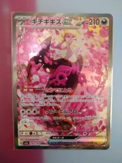 も*し様 キチキギスex SAR　244/193