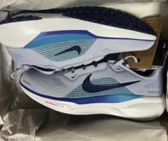 ナイキ　エアズーム　ペガサス41